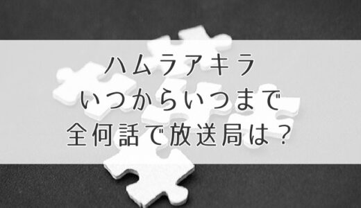 ハムラアキラ放送いつからいつまで全何話で放送局は？地域で見れないところはある？