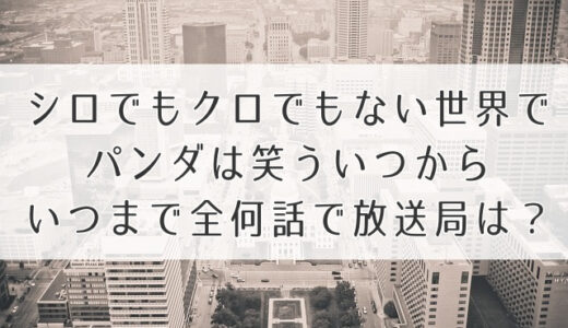 シロクロパンダ何曜日いつまで全何話で放送局は？放送地域のチェック！