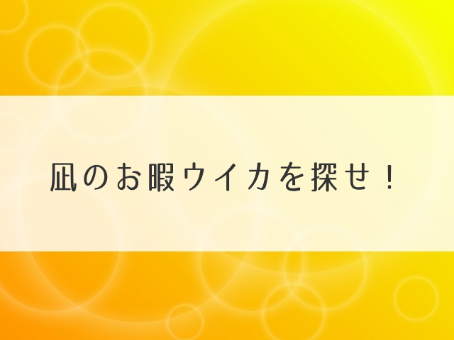 凪のお暇ウイカを探せ！