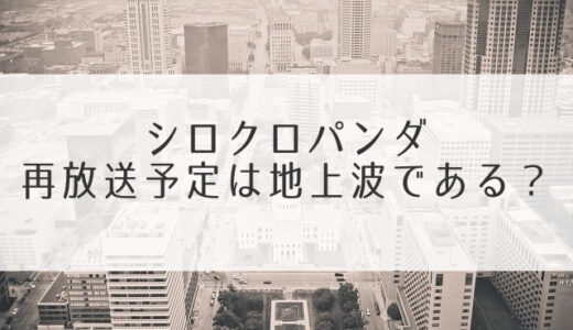 シロクロパンダ再放送予定は地上波である？深夜枠やBS/CSでは見れないの？