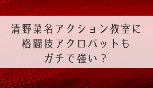 清野菜名アクション教室に格闘技アクロバットもガチで強い？動画でも確認しよう！